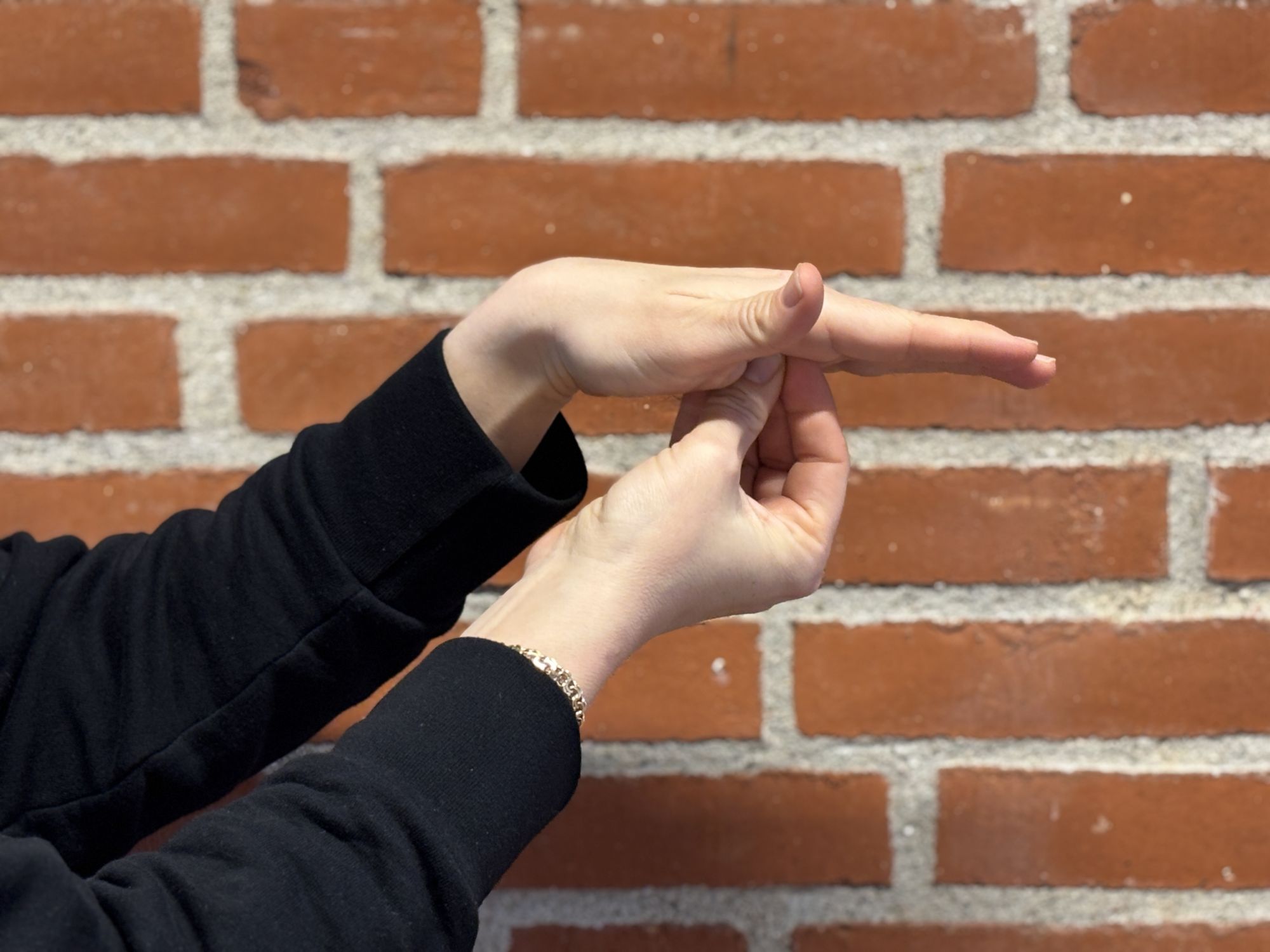 Pædagogisk støtte i egen bolig - internt